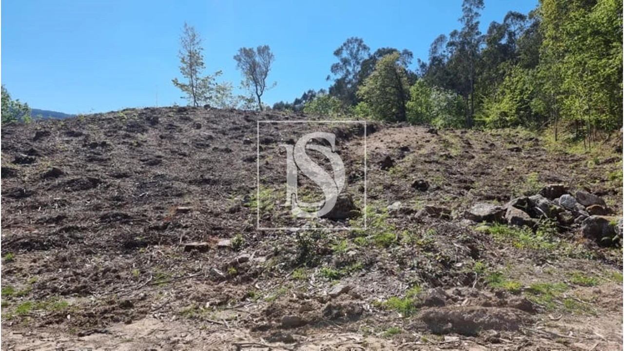 Terreno para Venda em Eira Vedra Foto 26
