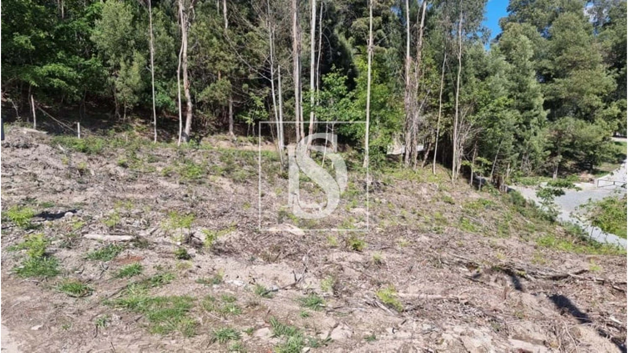 Terreno para Venda em Eira Vedra Foto 17
