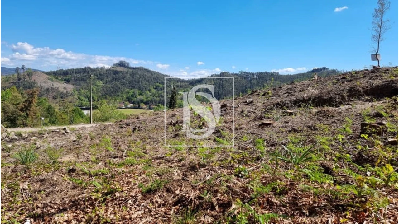 Terreno para Venda em Eira Vedra Foto 6