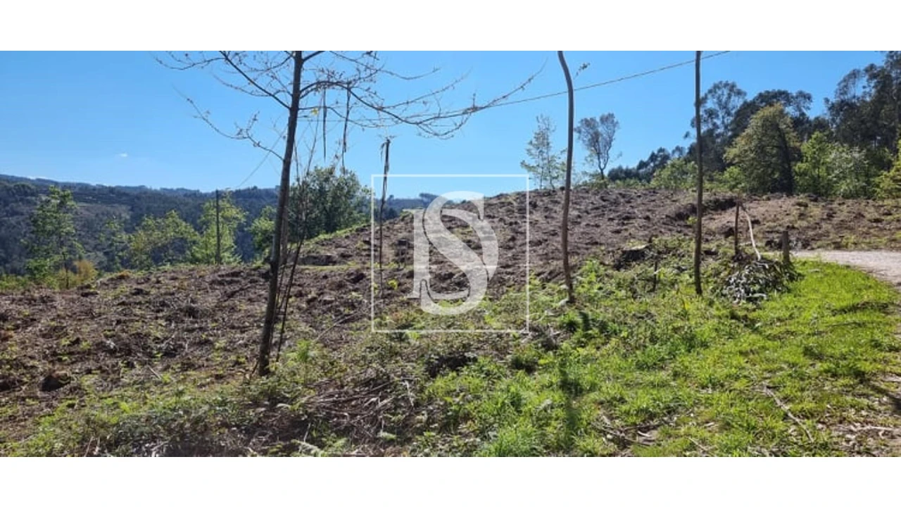 Terreno para Venda em Eira Vedra Foto 20