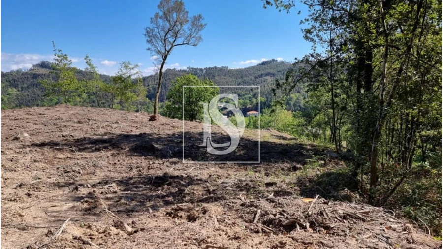 Terreno para Venda em Eira Vedra Foto 3