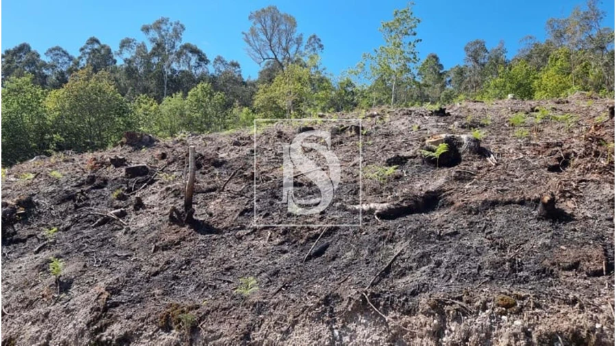 Terreno para Venda em Eira Vedra Foto 4