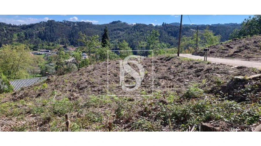 Terreno para Venda em Eira Vedra Foto 15