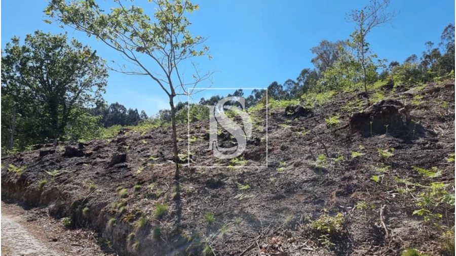Terreno para Venda em Eira Vedra Foto 18