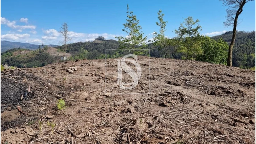 Terreno para Venda em Eira Vedra Foto 14