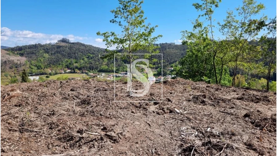 Terreno para Venda em Eira Vedra Foto 5