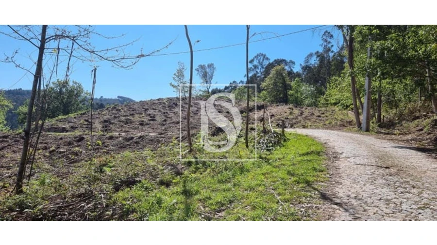 Terreno para Venda em Eira Vedra Foto 13