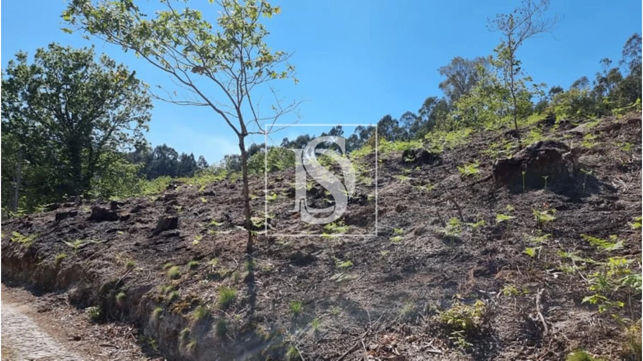Terreno para Venda em Eira Vedra Foto 18
