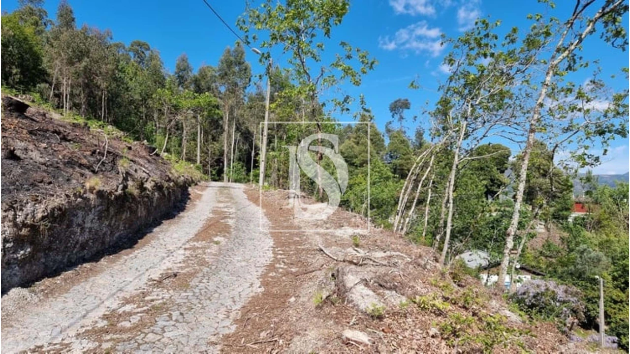 Terreno para Venda em Eira Vedra Foto 7