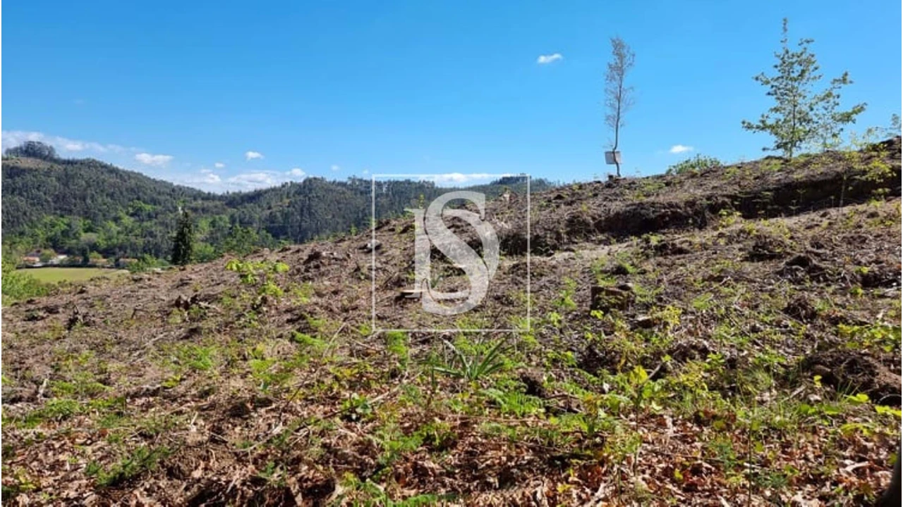 Terreno para Venda em Eira Vedra Foto 23