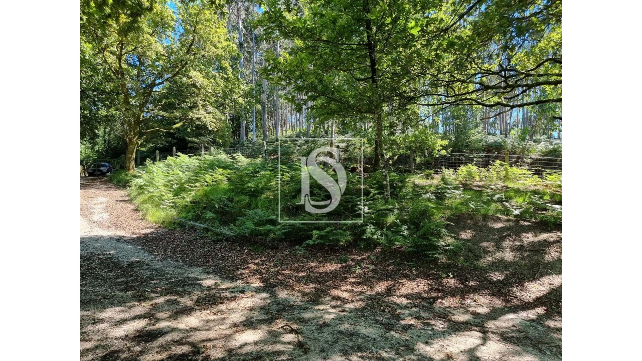 Terreno para Venda em Ventosa e Cova Foto 19