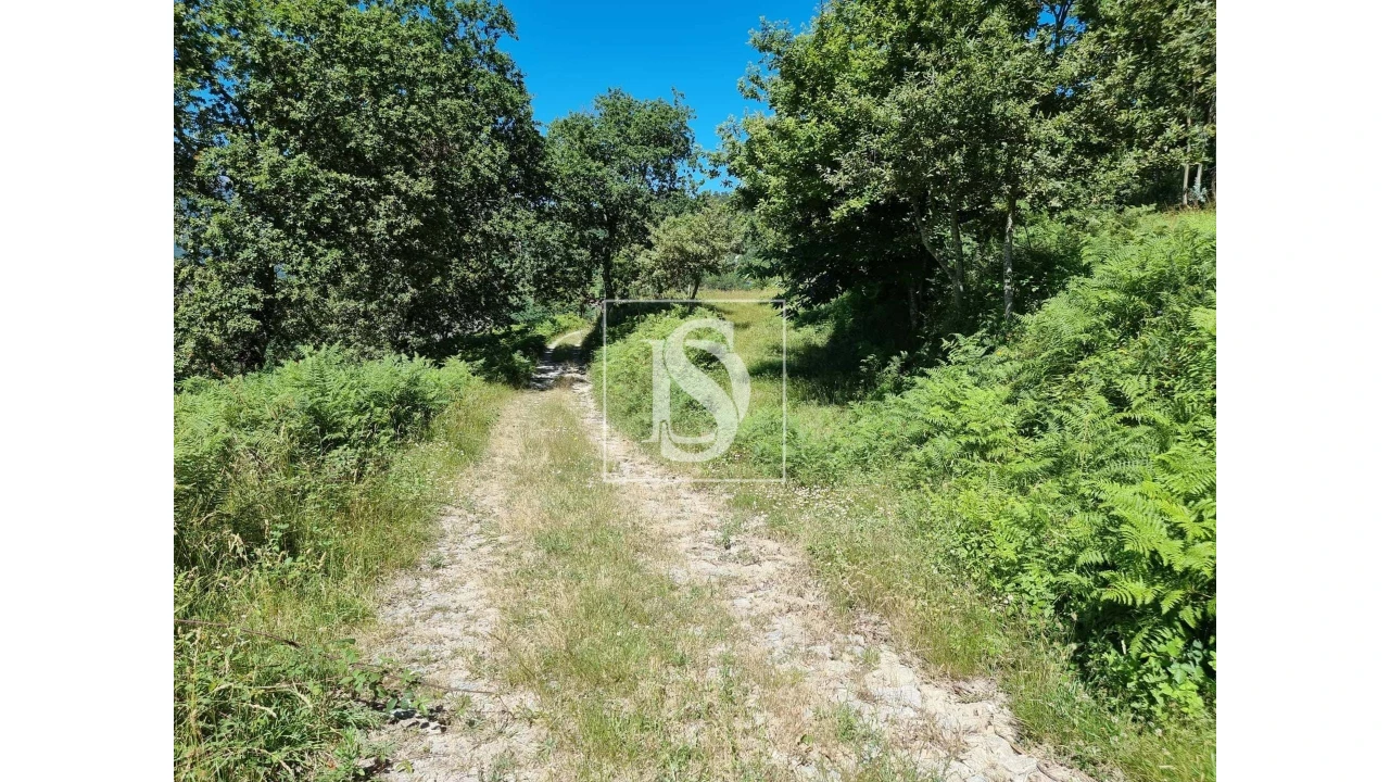 Terreno para Venda em Ventosa e Cova Foto 7