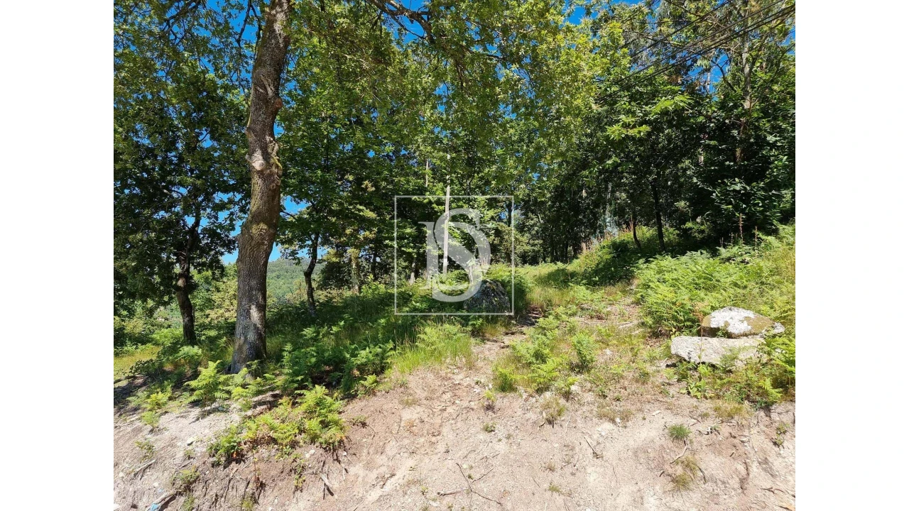 Terreno para Venda em Ventosa e Cova Foto 12