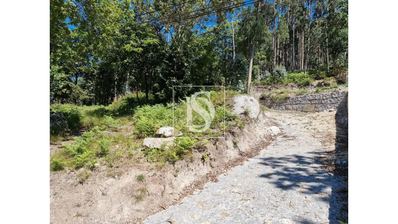 Terreno para Venda em Ventosa e Cova Foto 20