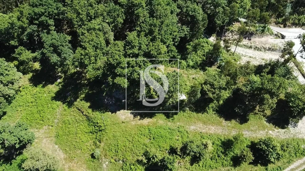 Terreno para Venda em Ventosa e Cova Foto 6