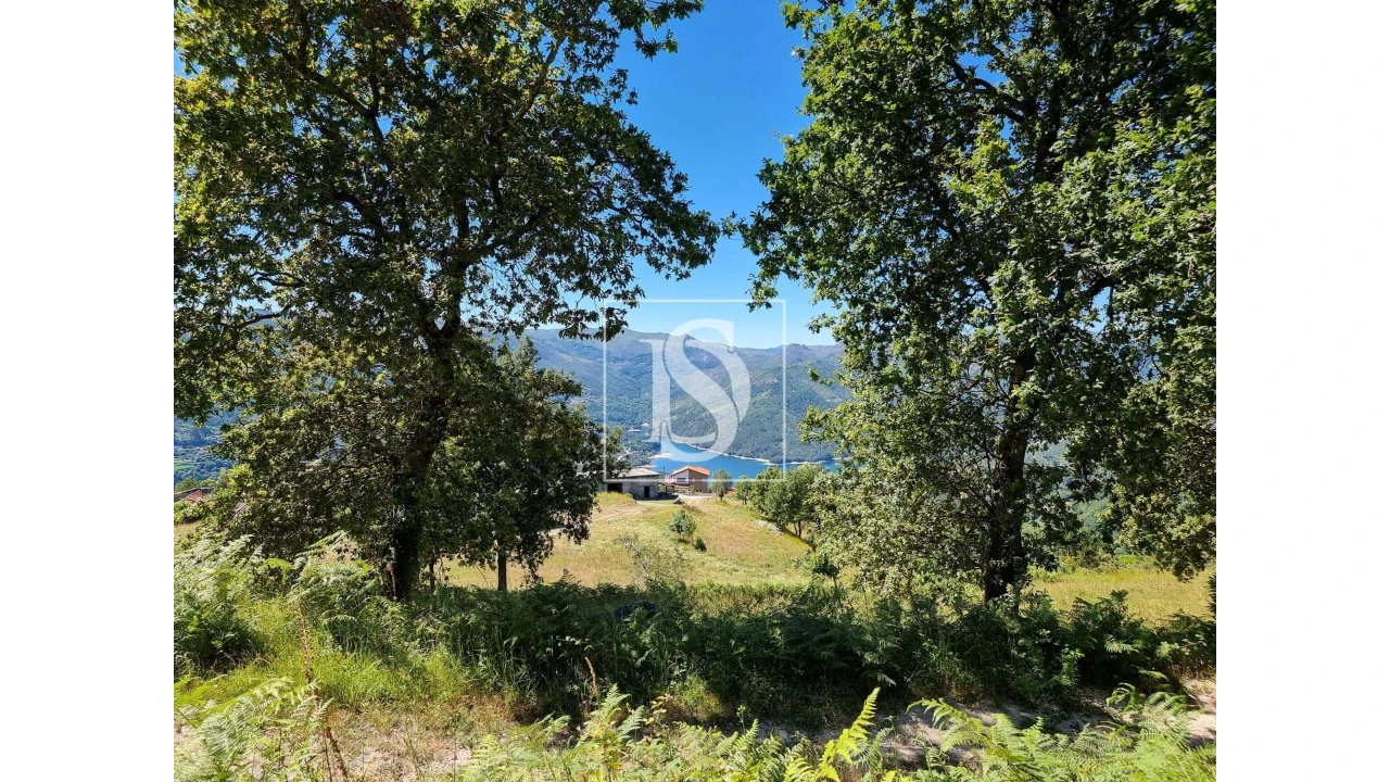 Terreno para Venda em Ventosa e Cova Foto 11