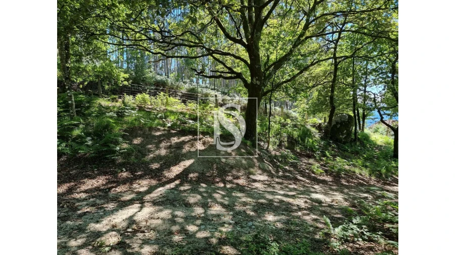 Terreno para Venda em Ventosa e Cova Foto 25