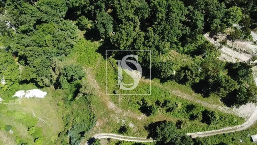 Terreno para Venda em Ventosa e Cova Foto 27