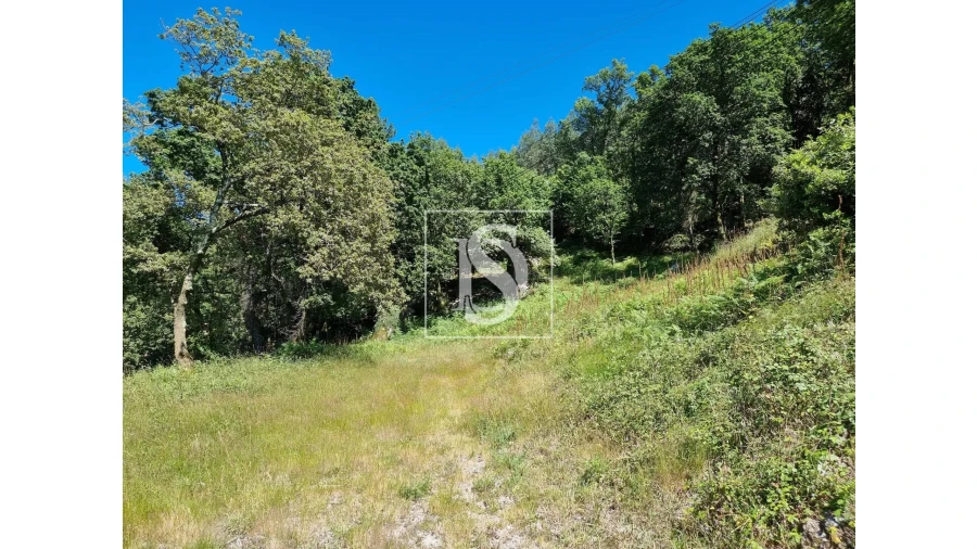 Terreno para Venda em Ventosa e Cova Foto 2