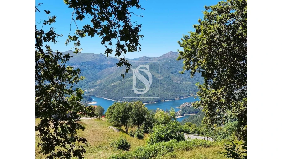 Terreno para Venda em Ventosa e Cova Foto 16