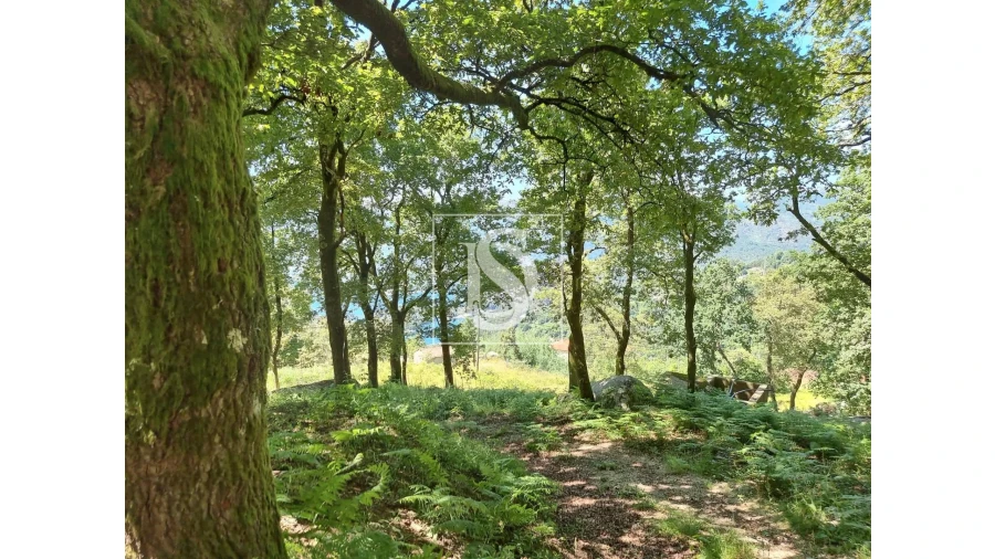 Terreno para Venda em Ventosa e Cova Foto 29