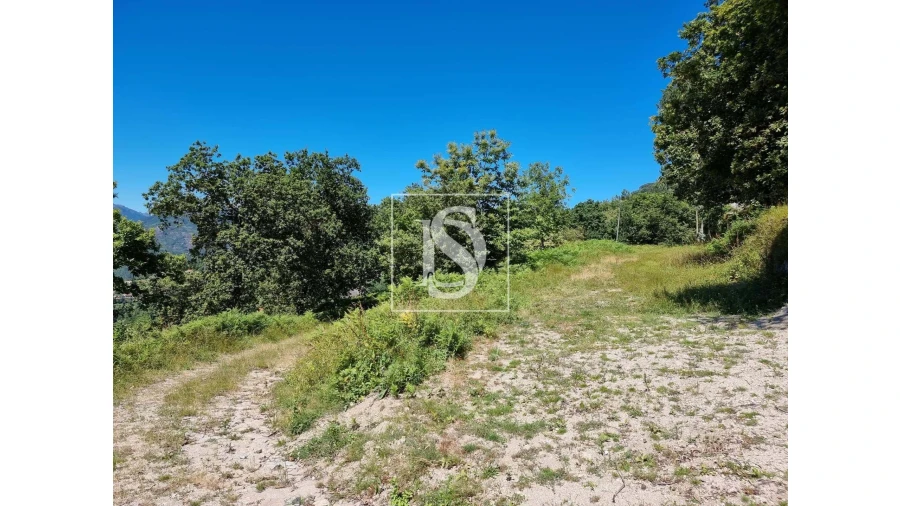 Terreno para Venda em Ventosa e Cova Foto 8