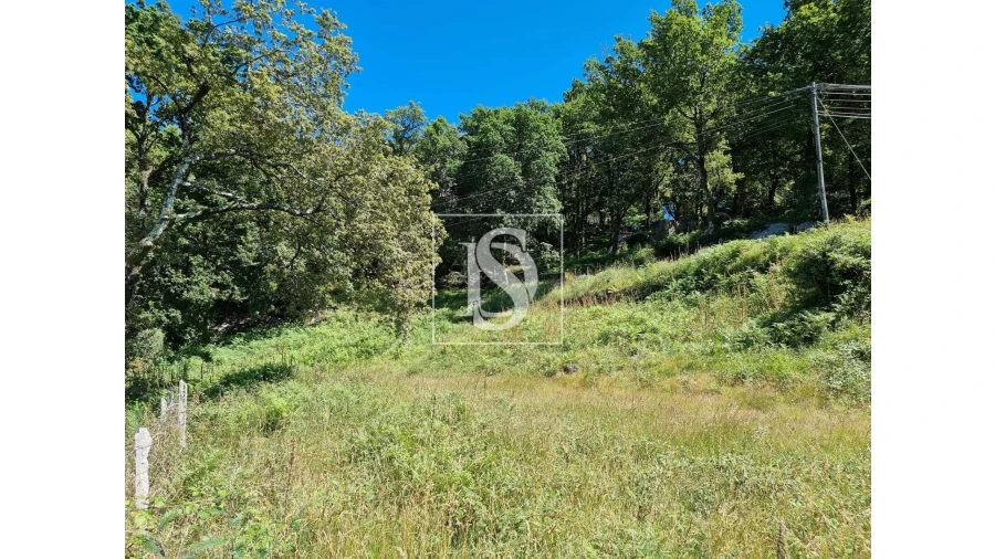 Terreno para Venda em Ventosa e Cova Foto 14