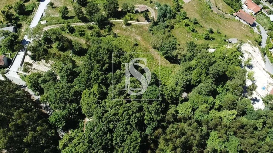 Terreno para Venda em Ventosa e Cova Foto 9