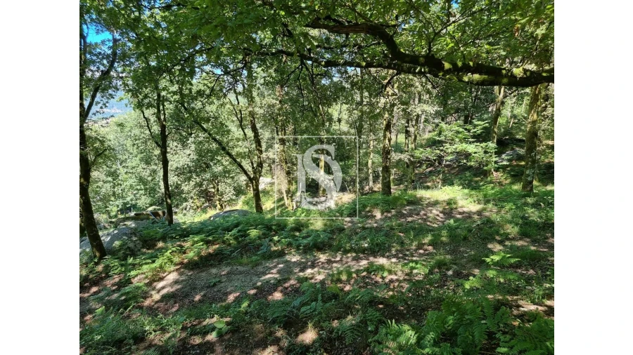 Terreno para Venda em Ventosa e Cova Foto 3