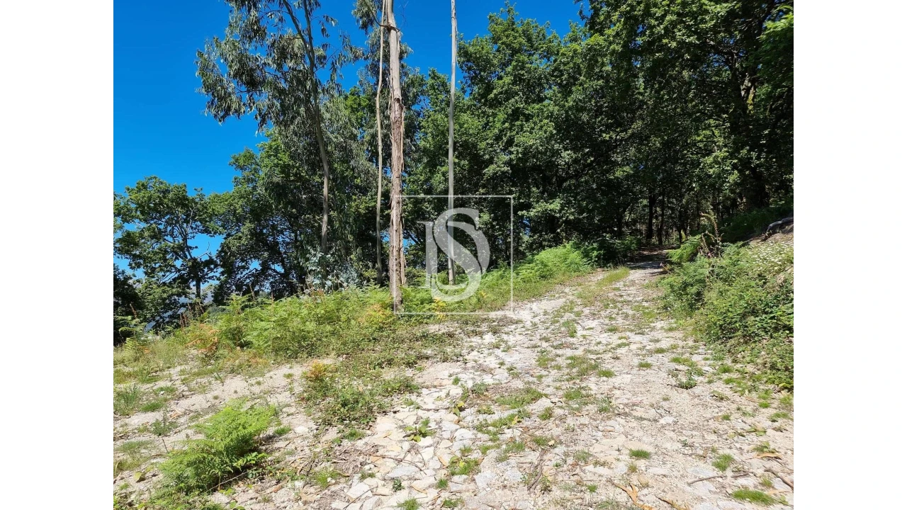 Terreno para Venda em Ventosa e Cova Foto 22