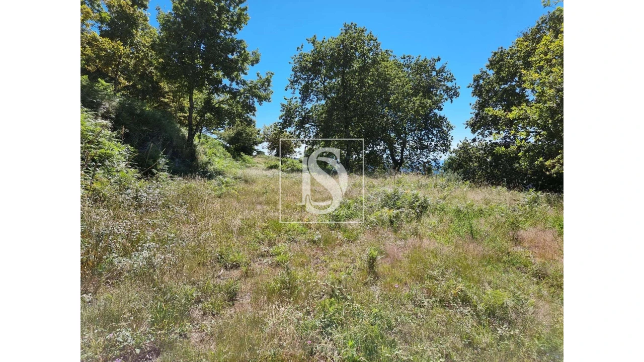 Terreno para Venda em Ventosa e Cova Foto 4