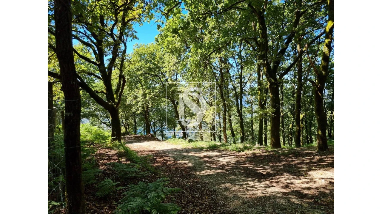 Terreno para Venda em Ventosa e Cova Foto 1