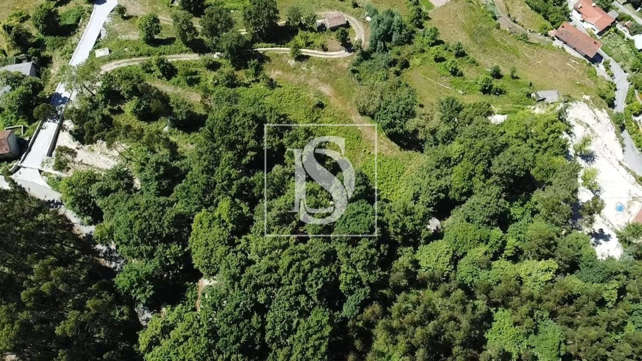 Terreno para Venda em Ventosa e Cova Foto 9