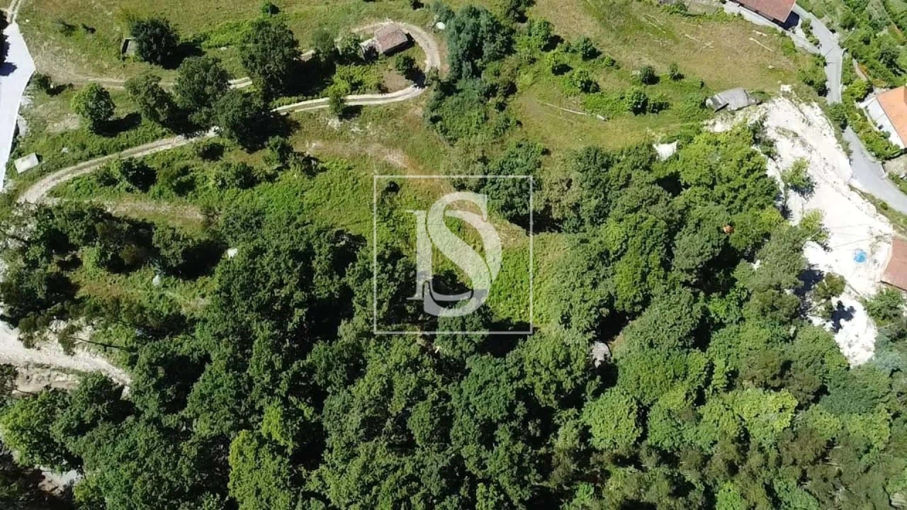 Terreno para Venda em Ventosa e Cova Foto 18