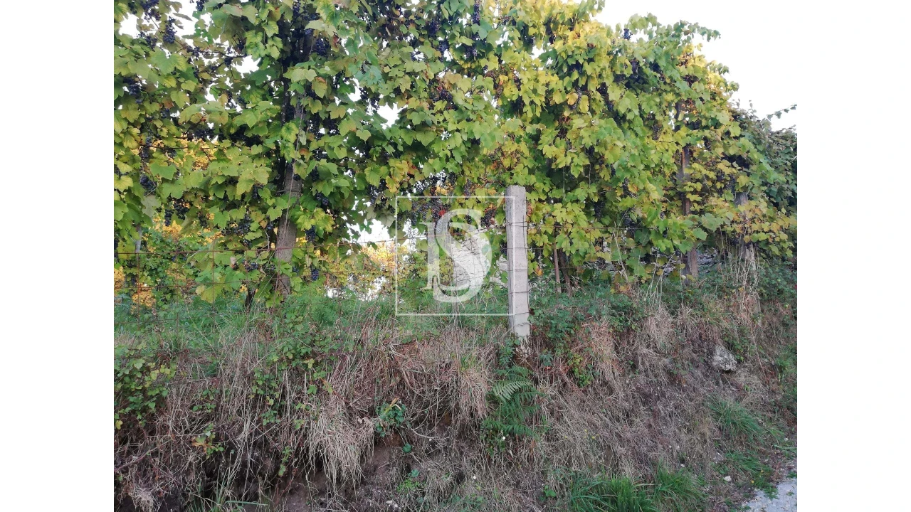 Moradia T2 para Venda em Serzedelo Foto 5