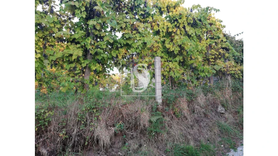 Moradia T2 para Venda em Serzedelo Foto 5