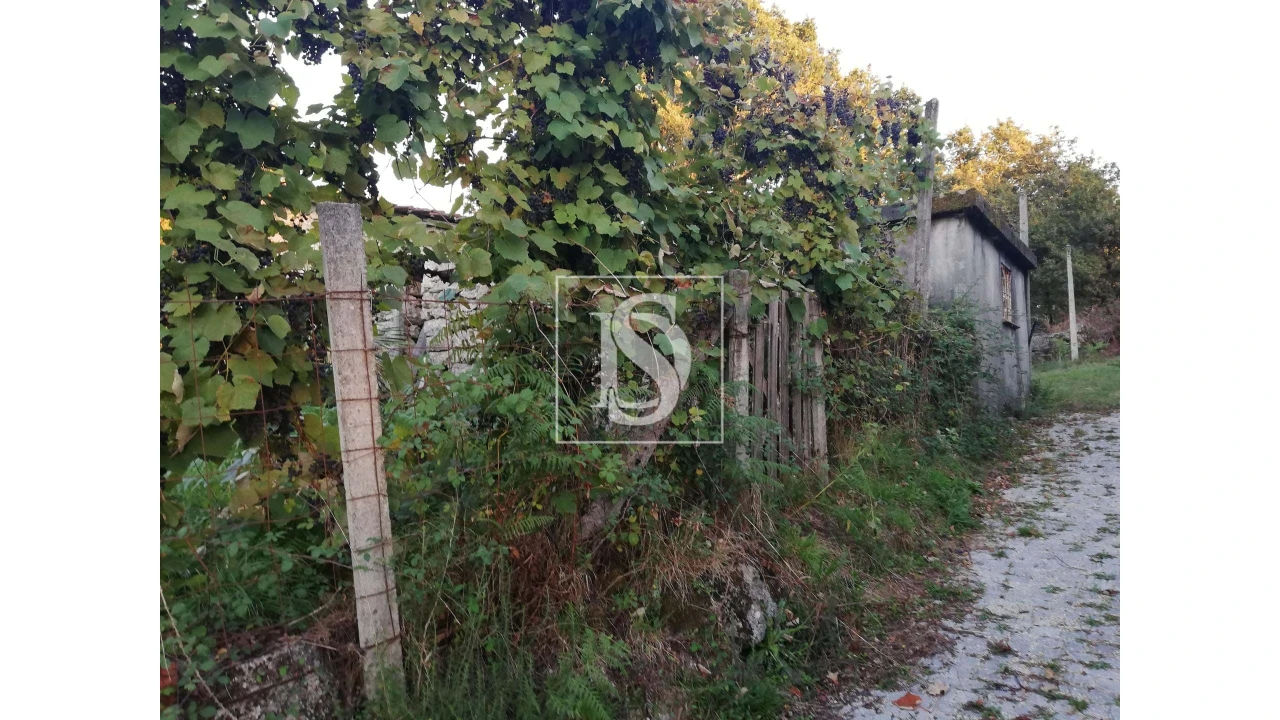 Moradia T2 para Venda em Serzedelo Foto 4