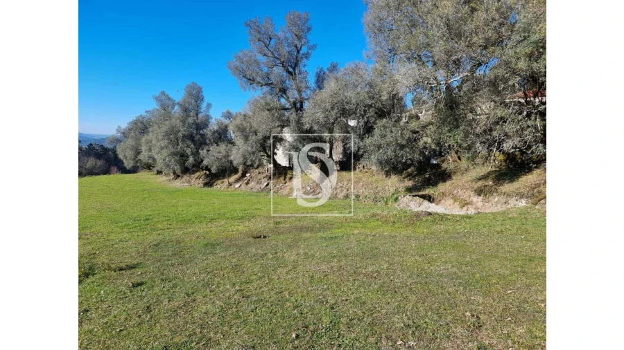 Moradia T3 para Venda em Anjos e Vilar do Chão Foto 13