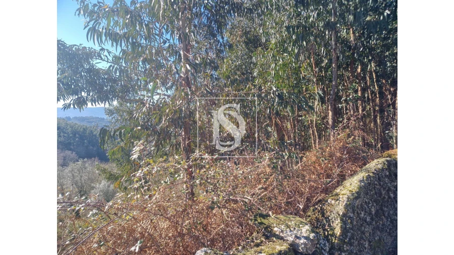 Terreno para Venda em Anjos e Vilar do Chão Foto 5