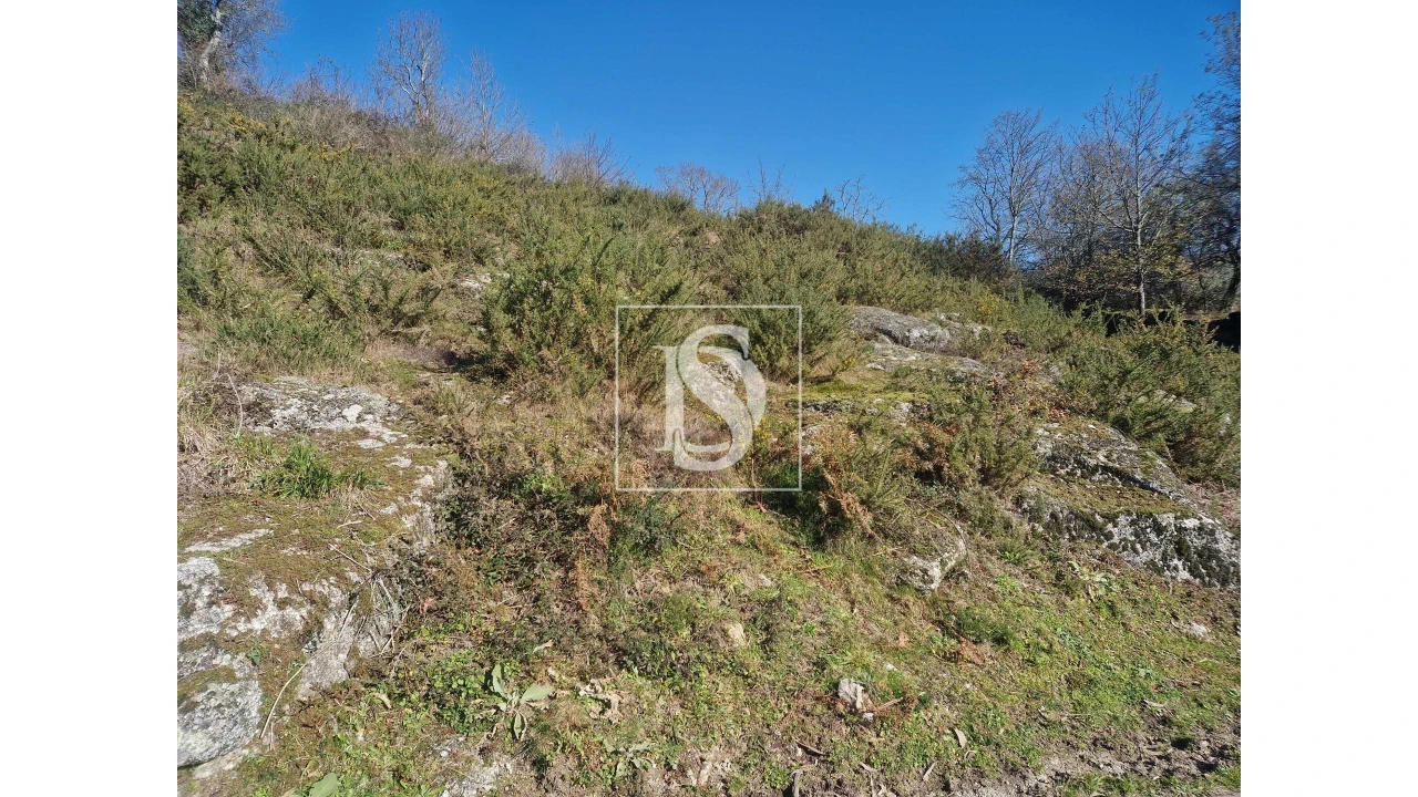 Terreno para Venda em Anjos e Vilar do Chão Foto 4