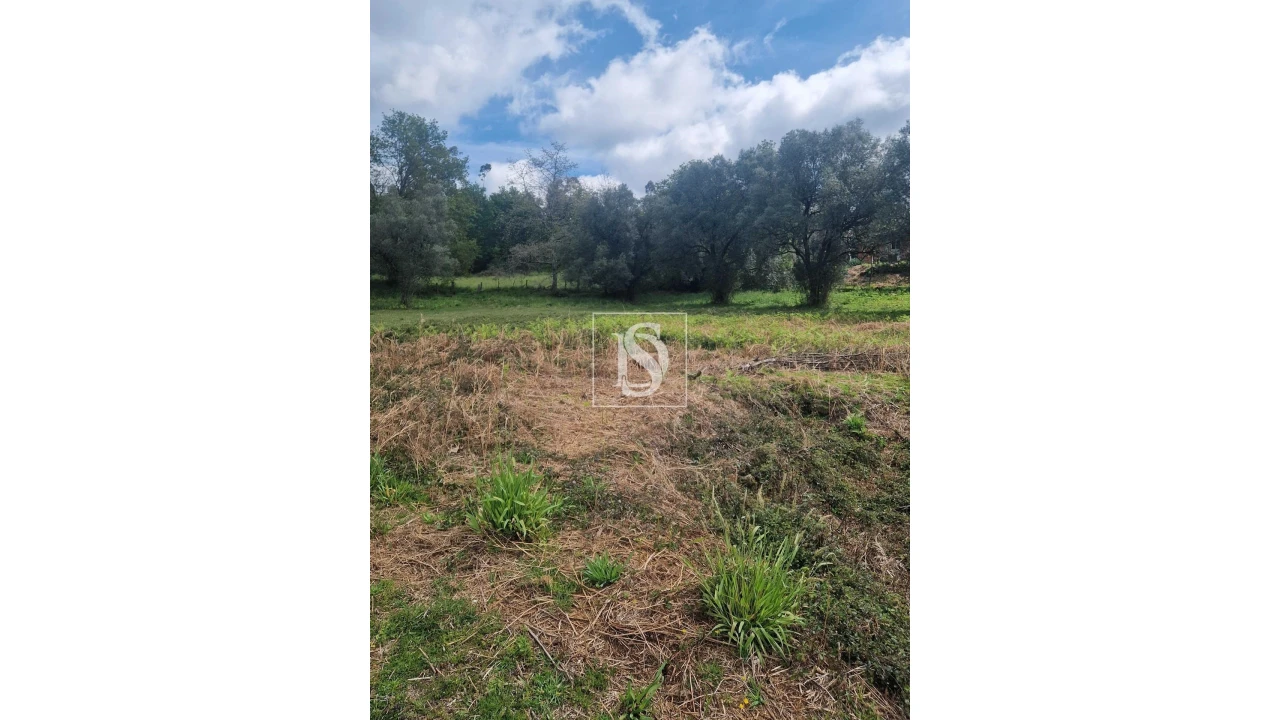 Terreno para Venda em Pinheiro Foto 9