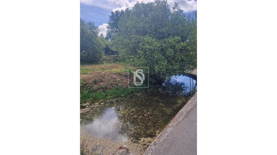 Terreno para Venda em Pinheiro Foto 11