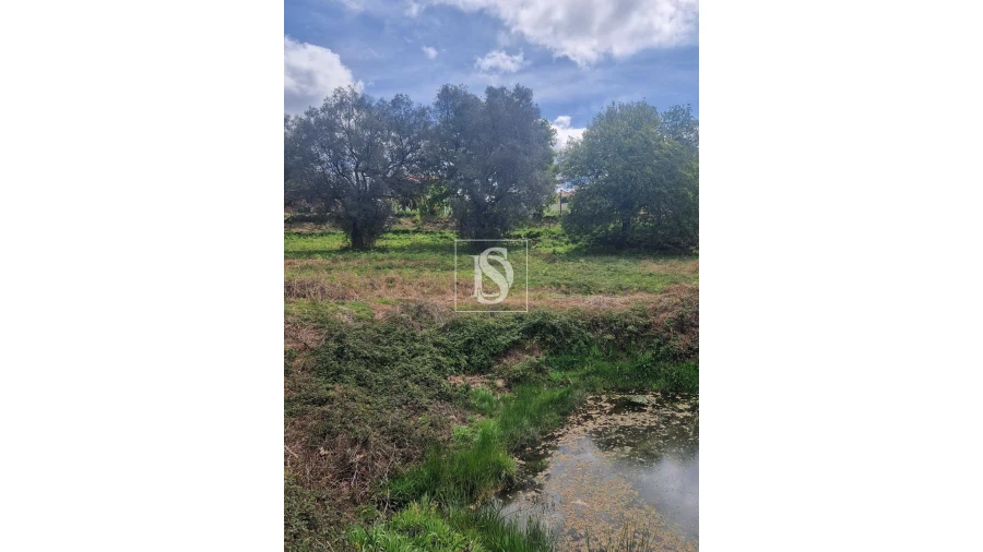 Terreno para Venda em Pinheiro Foto 10