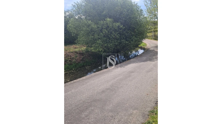 Terreno para Venda em Pinheiro Foto 5