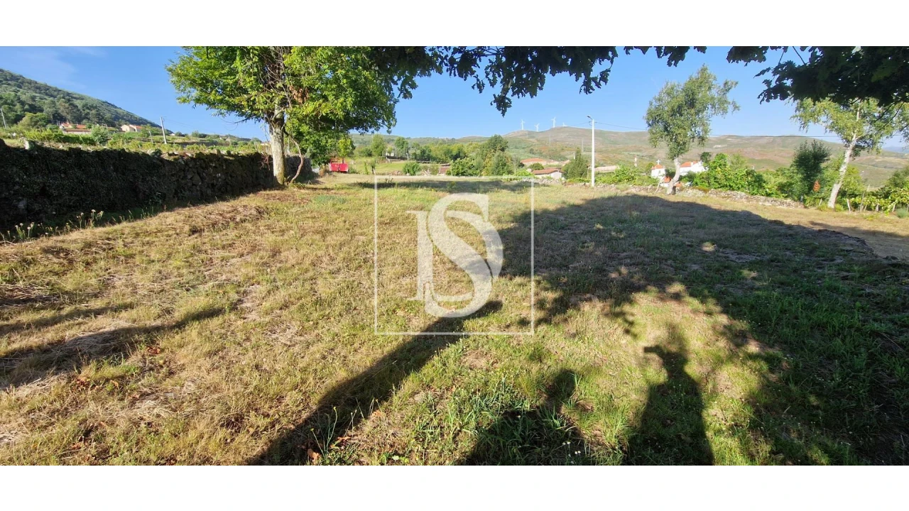 Terreno para Venda em Ruivães e Campos Foto 2