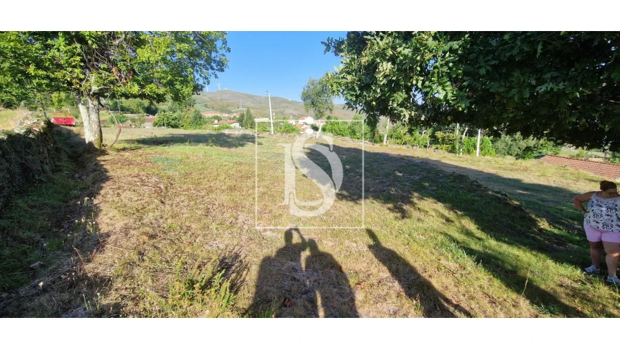 Terreno para Venda em Ruivães e Campos Foto 3