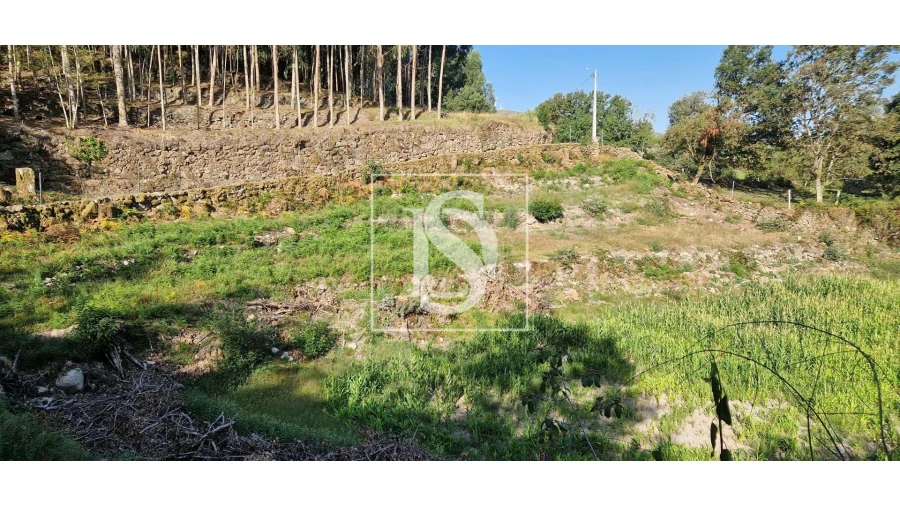 Terreno para Venda em Ruivães e Campos Foto 10