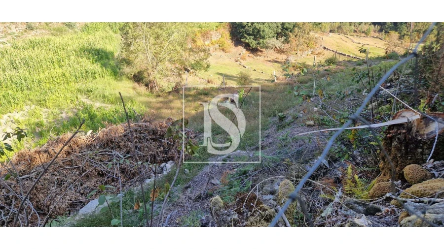 Terreno para Venda em Ruivães e Campos Foto 9