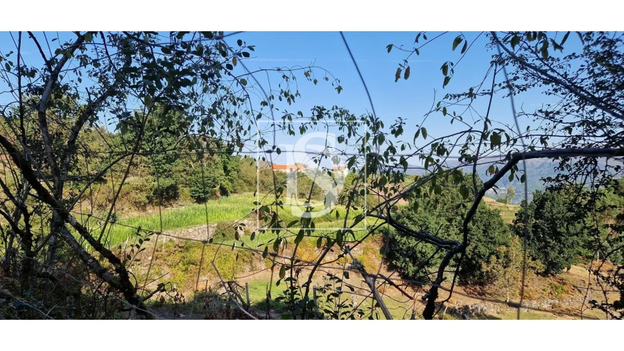Terreno para Venda em Ruivães e Campos Foto 4