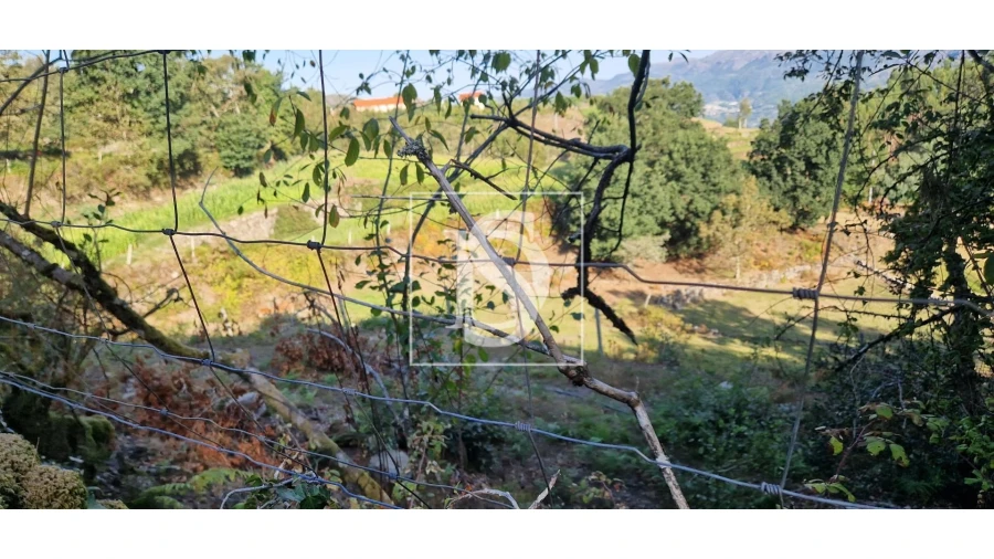Terreno para Venda em Ruivães e Campos Foto 3
